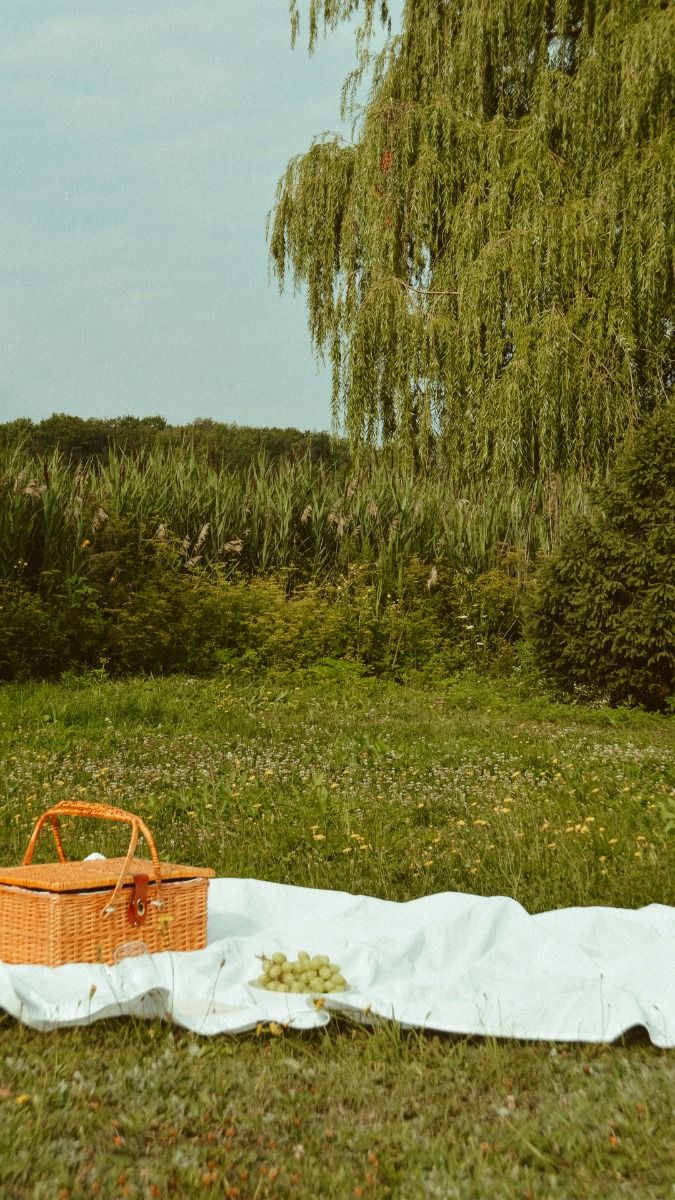 A dreamy countryside picnic under a willow tree